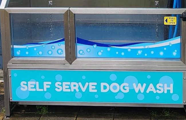 The raised stainless-steel wash tub with glass sides at Pawfect Wash, Hampton Park